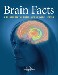 brainfacts.jpg