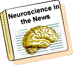 innews.gif